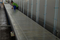 Cooling Performance Testing line